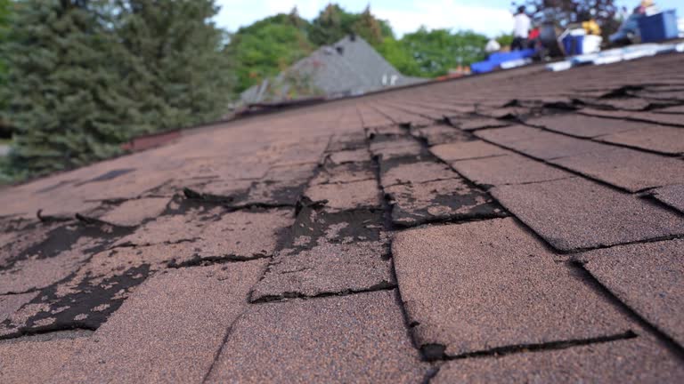 Best Metal Roofing Installation  in Sharon, MS