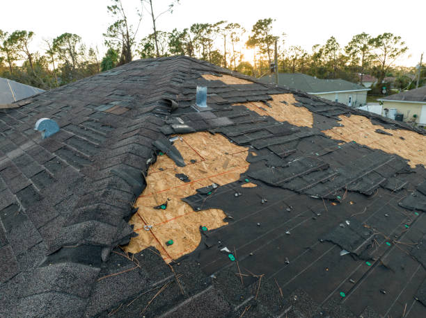 Professional Roofing Service in Sharon, MS
