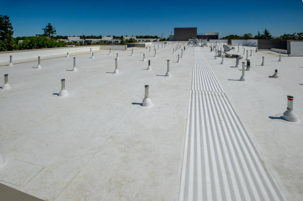 Best 4 Ply Roofing  in Sharon, MS